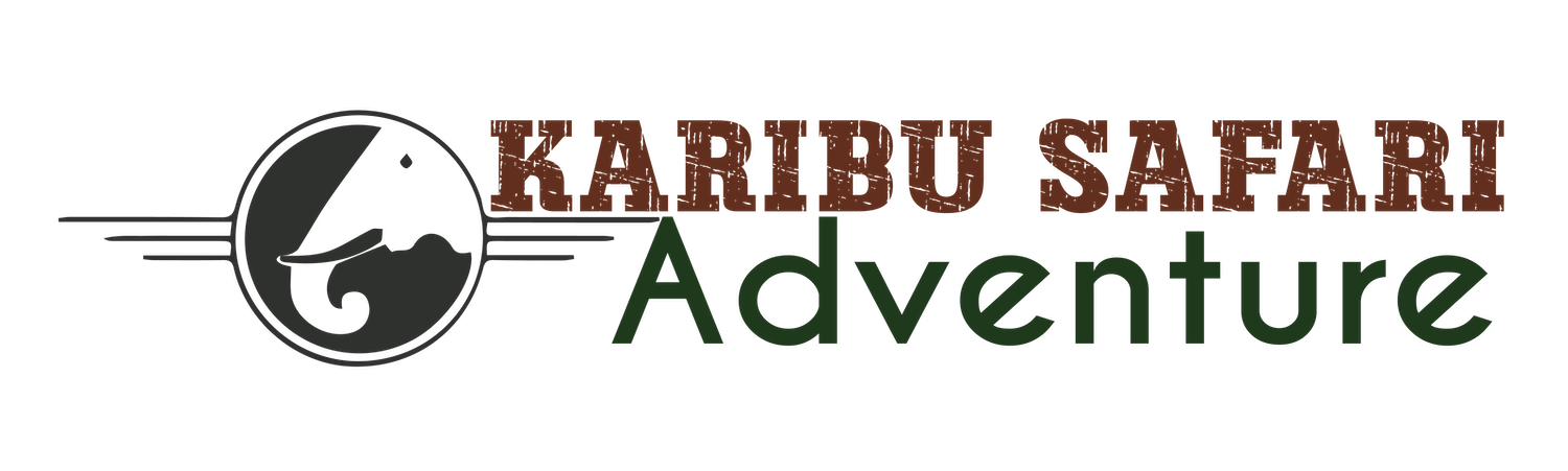 Karibu Safari Adventure-01