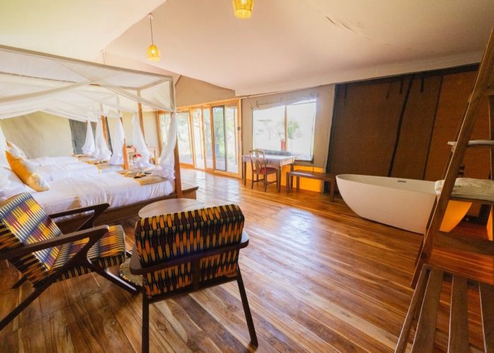 Serengeti Safari Haven Large