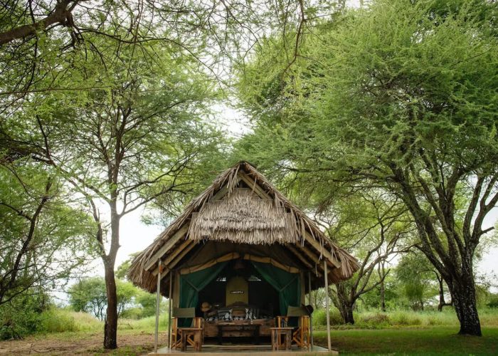 Tarangire Safari Lodge copy