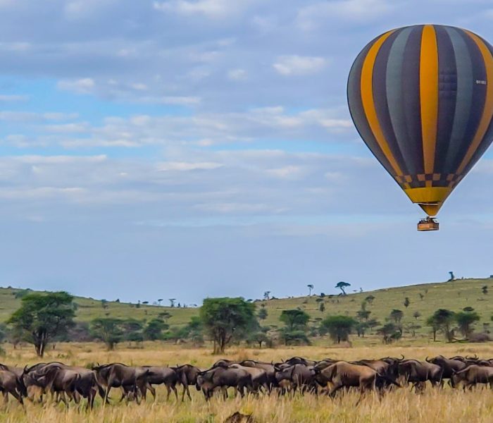 balloon safari3