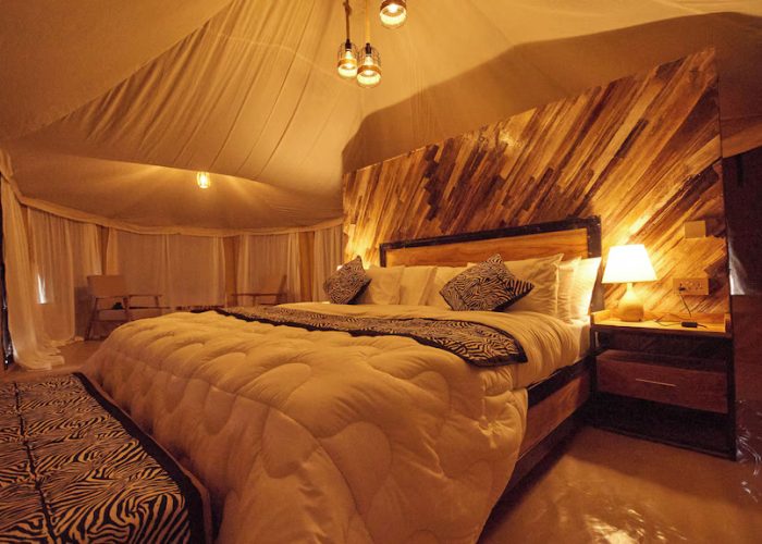 moyo camp